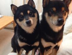 开云体育入口-班凯罗，聚光灯下的艺术家！爵士奇才之战，见证他越是大舞台越发光