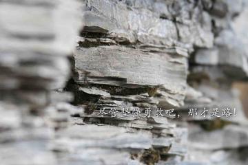 开云体育app-租借奇兵加克波导演逆转，喀麦隆加时鏖战淘汰阿尔及利亚