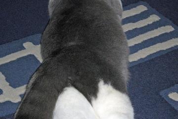 开云体育登录-文班亚马教科书式攻防闪耀全场，马刺加时逆转热火诠释未来可期