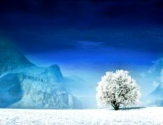 开云体育-巫师与铁骑，托尼魔法撕裂爱尔兰防线，比利亚雷亚尔奏响战术压制狂想曲