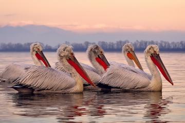 开云体育在线-国际友谊赛，西班牙小将加维对阵南非持续制造杀伤，里昂球场见证新星崛起