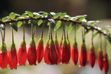 开云体育官网-巴尔韦德铁血交响曲，艺术足球与钢铁意志的终极对决