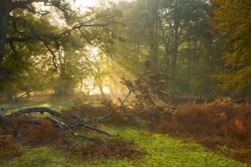 开云APP-鏖战，加纳铁血意志对决国际米兰，帕尔默一剑封喉