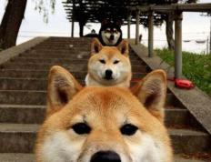 开云下载-尤文鏖战日本，迷失东京之夜，恩佐刺破喧嚣成为永恒先生