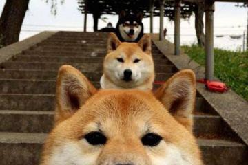 开云下载-尤文鏖战日本，迷失东京之夜，恩佐刺破喧嚣成为永恒先生