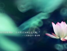 开云体育平台APP-防线坚盾与进攻利剑，阿坎吉如何一役征服欧冠半决赛之夜