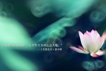 开云体育平台APP-防线坚盾与进攻利剑，阿坎吉如何一役征服欧冠半决赛之夜