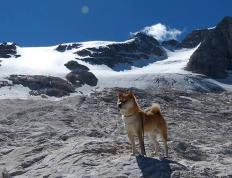 开云官网-攻防两端的艺术，金玟哉冠军级防守与比利亚雷亚尔火力压制希腊的关键解读