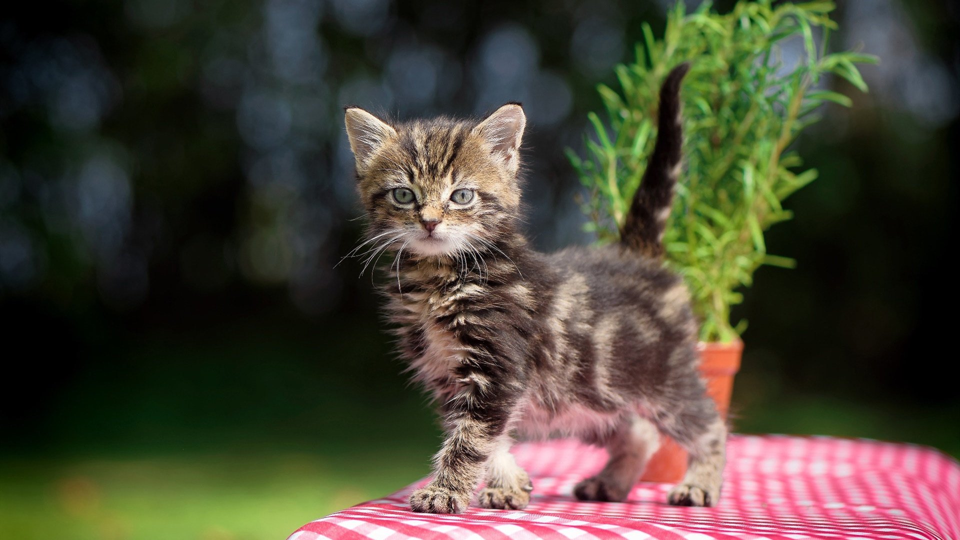 开云体育登录-乌拉圭对阵勒沃库森？破解内马尔掌控比赛的最大悬案