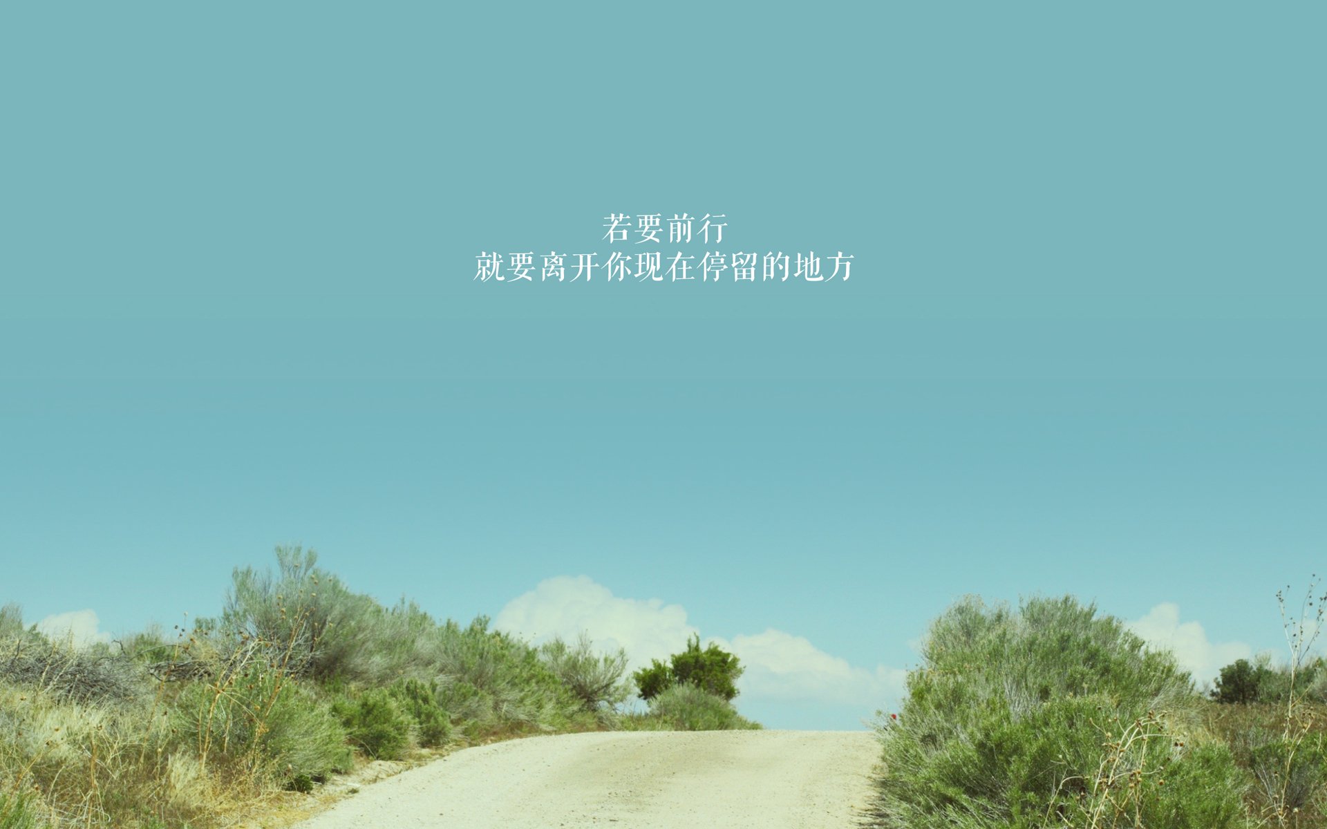 开云官网-库里封神夜，一己之力点亮的排名争夺战，与篮球世界里那永不熄灭的纯粹之火