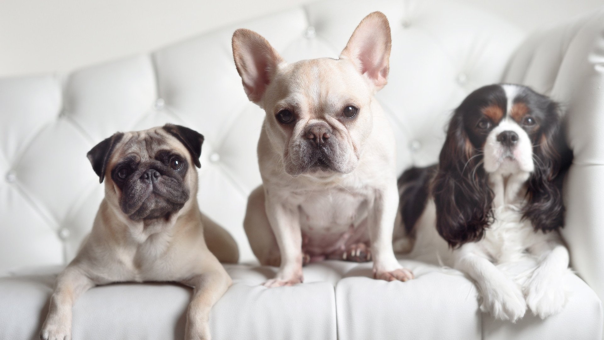 开云体育app-马克西独舞纽约城，尼克斯主场力擒热火