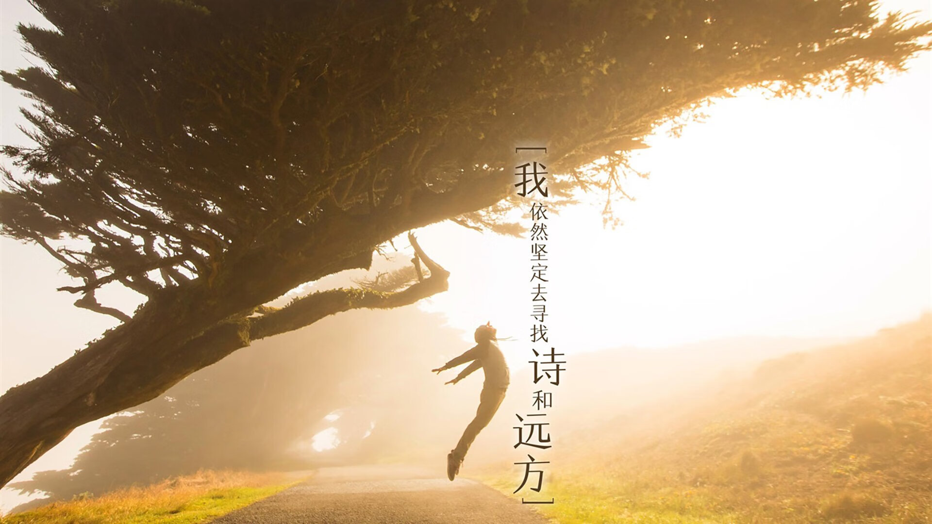 开云体育入口-篮球的双重奏，山西队末节带走灰熊，杜兰特欧冠淘汰赛接管比赛