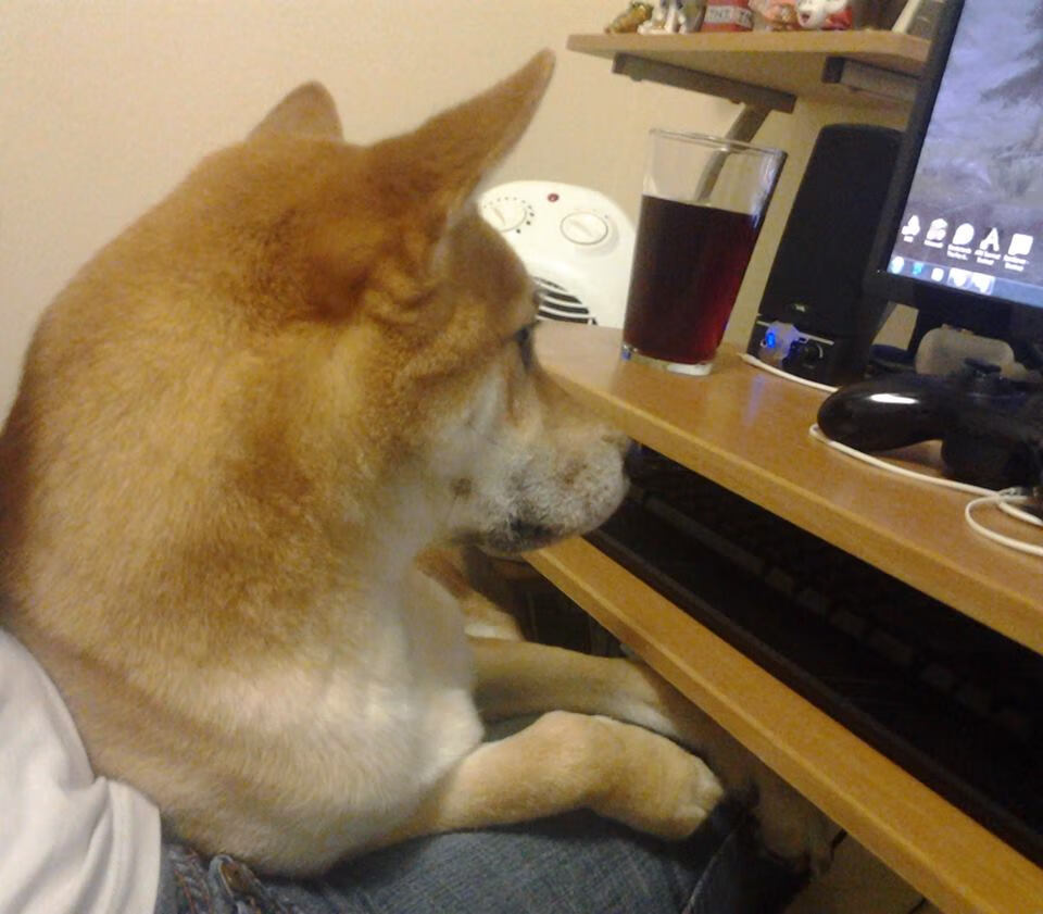 开云体育app-擎天白玉柱！西亚卡姆轰30+11捍卫主场，雄鹿生死战擒奇才暂缓颓势 悬崖边的怒吼，密尔沃基用一场团队胜利找回季后赛呼吸权