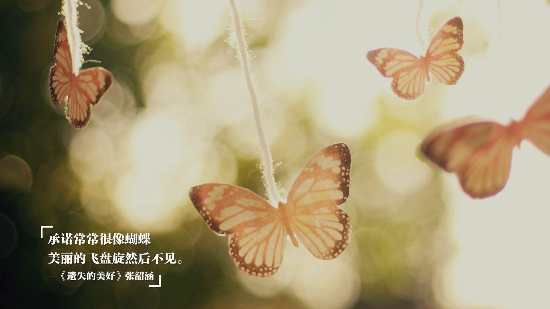 开云体育下载-哥斯达黎加争冠战逆袭比利时，赖斯连击得分锁定胜局