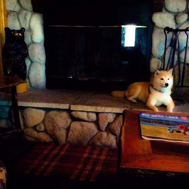 开云下载-速度与激情的双城记,F1街道赛焦点战与灰熊狂胜掘金的体育盛宴