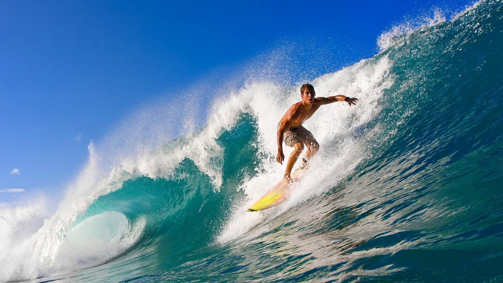 开云体育APP下载-逆转与恒常，论英雄主义的两种叙事