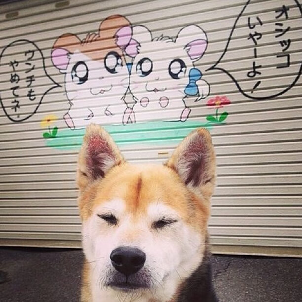 开云体育官网-罚进点球后的激情呐喊!欧冠之夜萨内挣脱伪装者枷锁