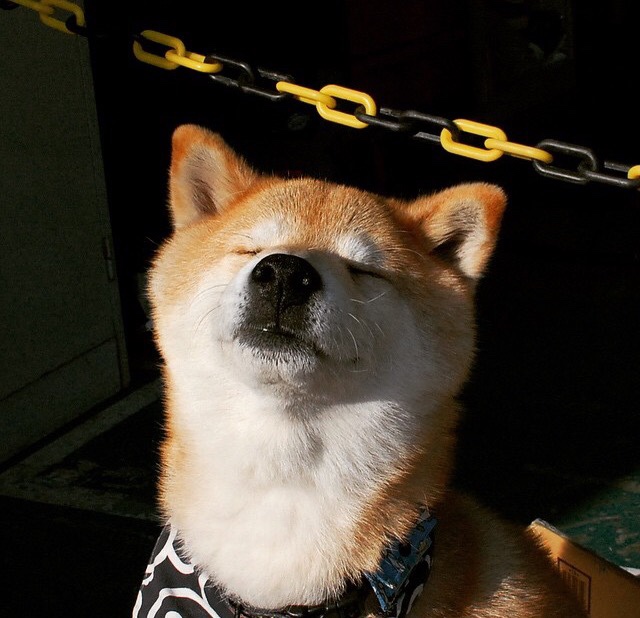 开云体育官方网站-跨界风暴，佩德里F1揭幕战惊天接管，美国速胜法国谱写体育周末狂想曲