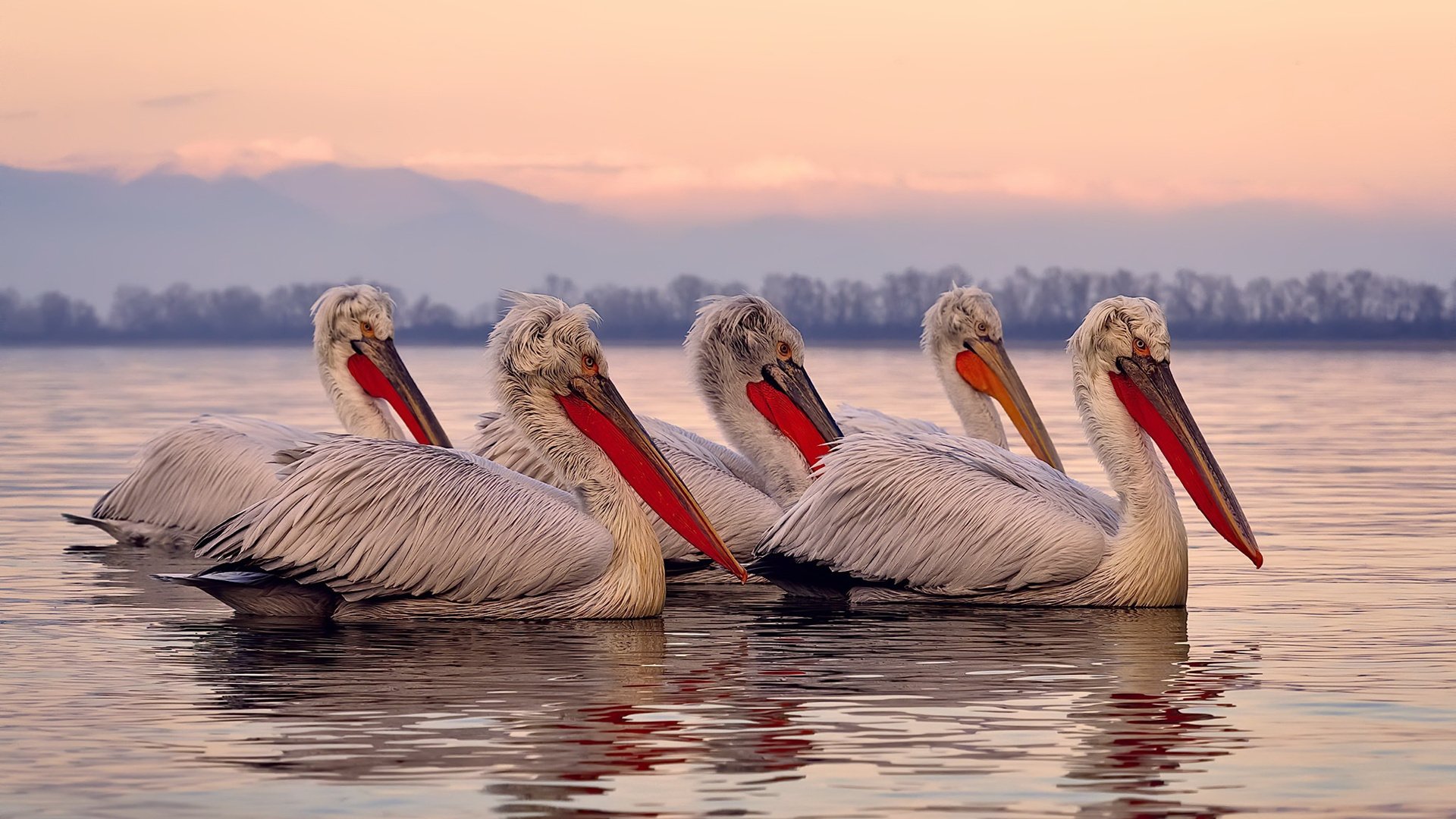 开云平台-布伦森关键先生显神威，山西队力克老鹰创奇迹