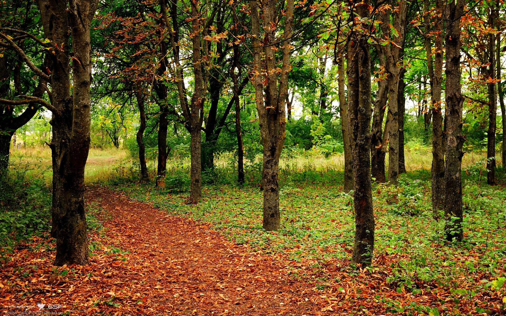开云体育平台APP-铁血与艺术的碰撞，葡萄牙战术碾压墨西哥挺进八强