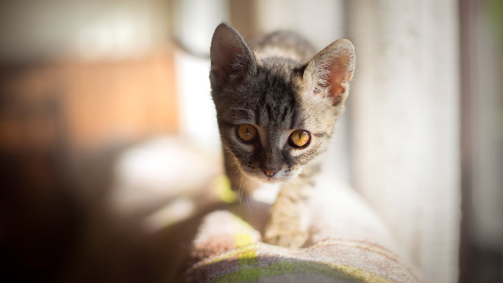 开云平台-马刺对阵开拓者，詹姆斯的压制级发挥如何定义比赛