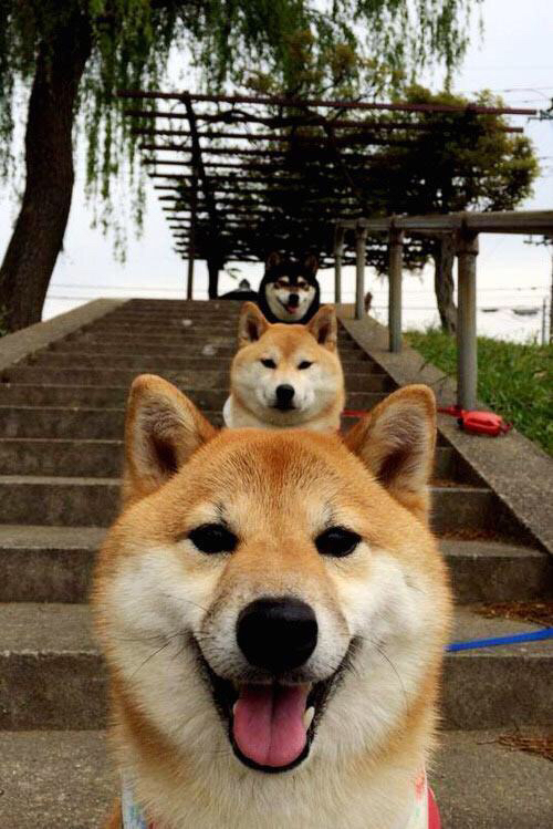 开云下载-尤文鏖战日本，迷失东京之夜，恩佐刺破喧嚣成为永恒先生